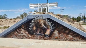 Street Art, Echidna and young