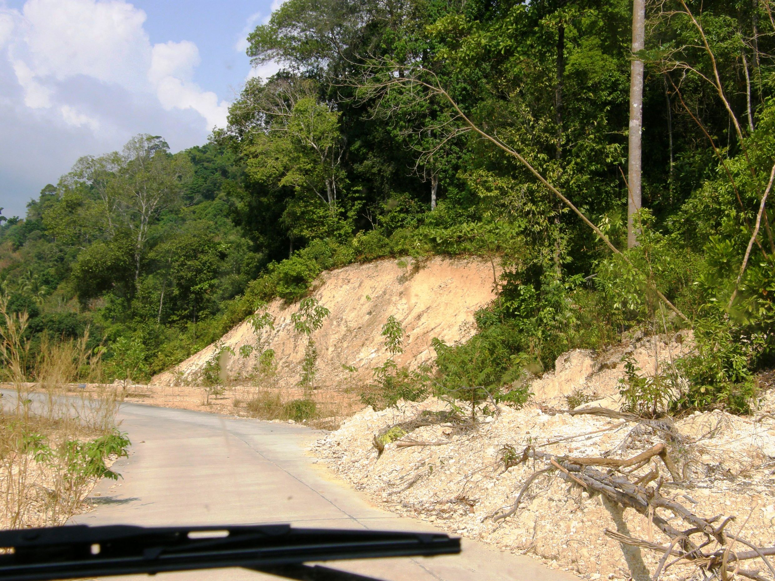 Dirt fall on road