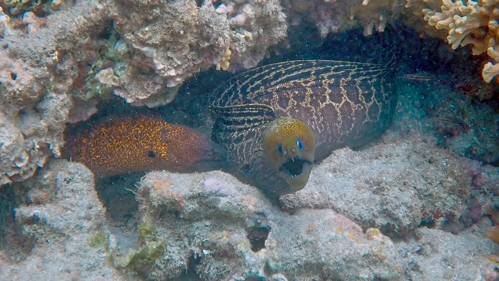 You are currently viewing A Dot in the ocean