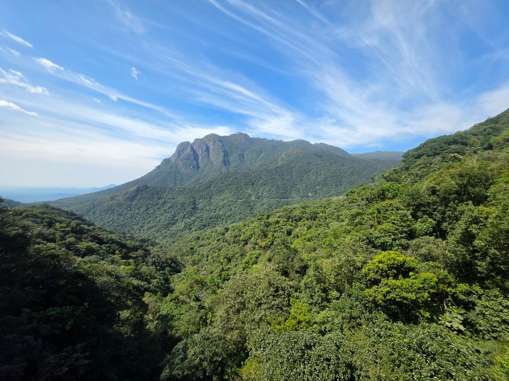 You are currently viewing Brazilian Road Trip